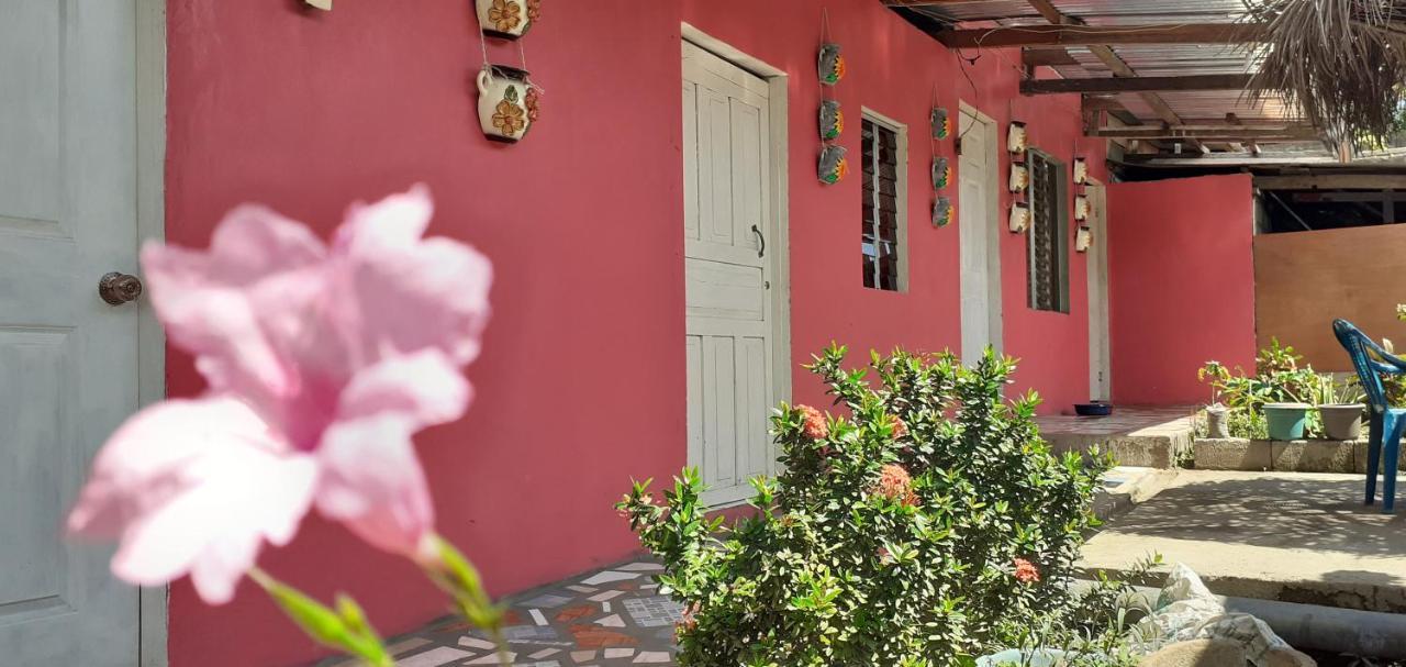 Guest House Nena Moyogalpa Bagian luar foto