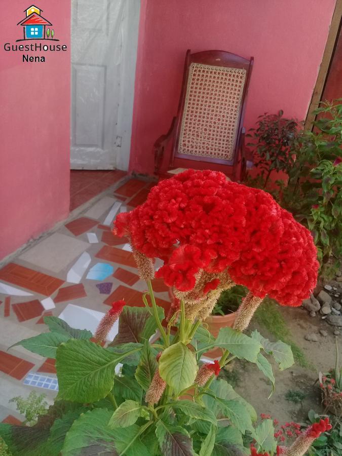 Guest House Nena Moyogalpa Bagian luar foto